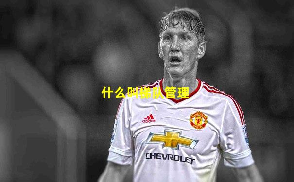 什么叫梯队管理