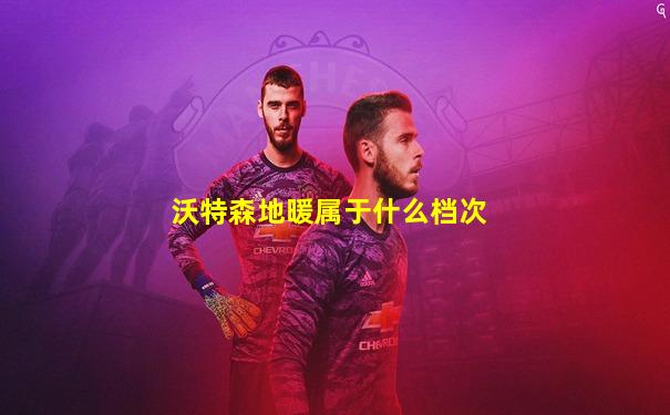 沃特森地暖属于什么档次